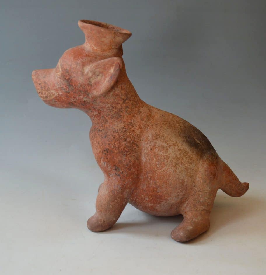 West Mexico Colima Pre Columbian pottery